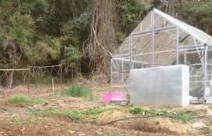 The aquaponics system is in a sheltered but sunny position.