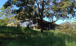 Hill House, looking up the hill