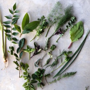 June herbs