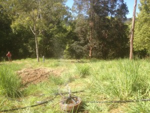 The start of our kitchen garden; water.