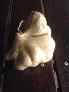 Half a jicama tuber