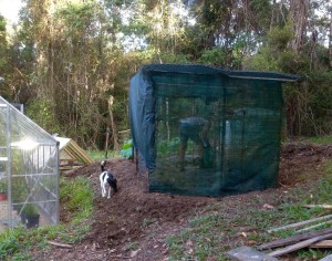 Shade house made from steel mesh