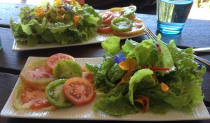 It's so good to make a salad straight from the garden, and Winter gives us plenty of choice