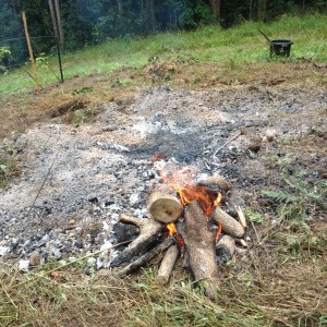 biochar burning the ends