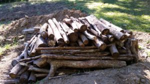 biochar first pit stacked with camphor