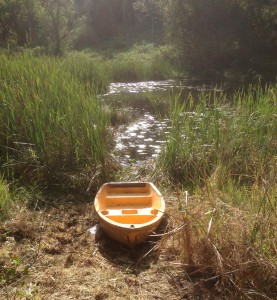 entrance to dam cleared through rushes