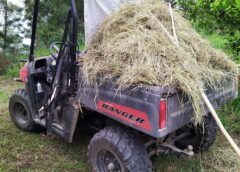 Equipment for making hay with a scythe