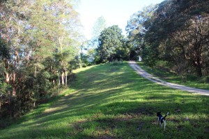 front paddock