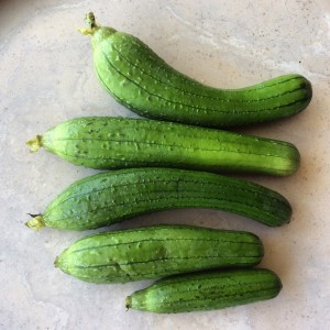 loofahs green for eating