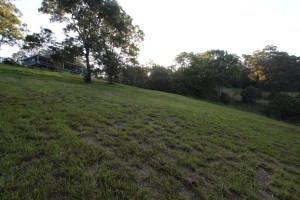 looking up toward the house