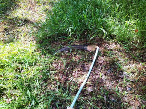 a scythe in the hay field