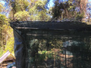 shade house roof