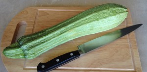 zucchini 'costa romanesque'